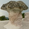 The stone mushrooms